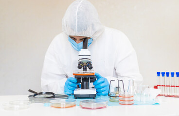 Examine bacteria in petri dishes in the laboratory. Selective focus.
