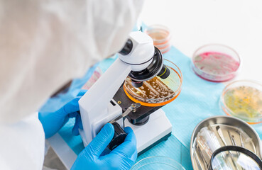 Examine bacteria in petri dishes in the laboratory. Selective focus.