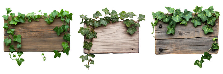 Set of A rustic wooden board surrounded by vibrant green leaves on transparent png background. Ai generated