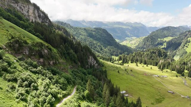 9 juli 2024, Wildhaus, Switzerland. Drone flight above Alpstein mountains, beautiful pine tree forest, and alpine meadow. mountain trail. Hiking trail visible in wonderful scenery. Tranquil, peaceful 