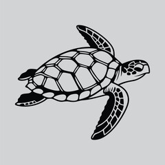 Detailed Sea Turtle Illustration in Line Draw