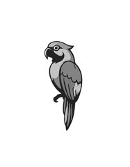3D Grayscale Parrot Icon Design