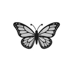 Detailed Grayscale Butterfly