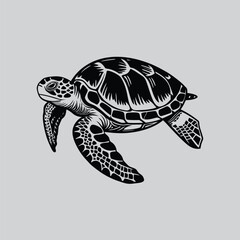Fototapeta premium Intricate Black and White Turtle Illustration