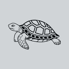 Stylized Turtle is walking