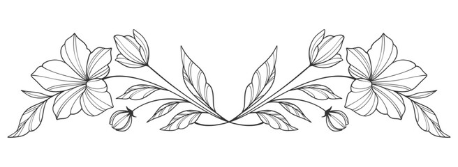 Sketch Floral Botany Collection. flower drawings. Black and white with line art on white backgrounds. Hand Drawn Botanical Illustrations.Vector