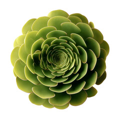 Obraz premium Close-up of a Green Succulent Plant, Rose-like Formation, Abstract Nature Photography