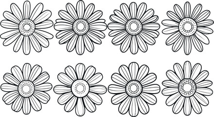 Fototapeta premium A vector set showcases a seamless floral with white daisy flowers, an elegant nature illustration, perfect for spring design