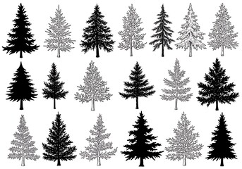 Obraz premium Elegant Black and White Pine Tree Silhouettes AI Generated
