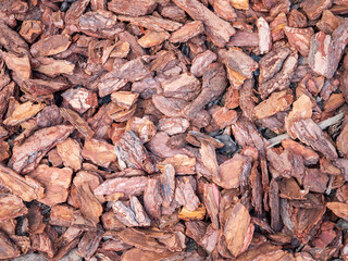 Closeup of dry brown pine bark mulch used for gardening and landscaping, covering the ground as natural decoration.