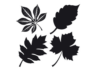 Silhouette of Four Different Autumn Leaves, set of four stylized, black silhouette leaves against a white background. leaf, leaves, nature graphic, illustration, art, floral, leaf logo, floral design.