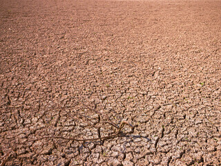 Dried reservoir bed of Domaša during drought, showing cracked soil and dry vegetation as a result of extreme weather and water shortage.