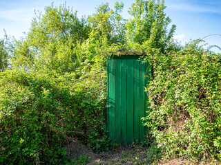 Old wooden latrine with green door, overgrown by dense vegetation. Hidden in nature, representing...