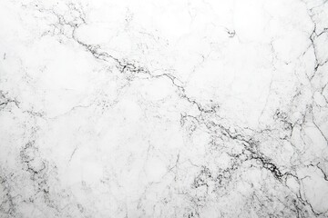 Obraz premium Detailed Black Veins Pattern on White Marble Texture Background Surface Stone