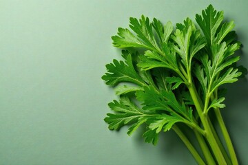Flat lay of parsley sprigs, showing leaf vein detail, isolated, herb, food