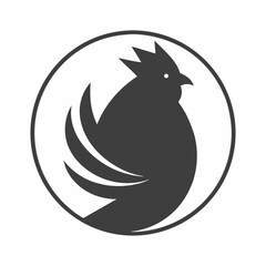 rooster isolated on white