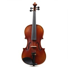 Isolated brown violin instrument on white background