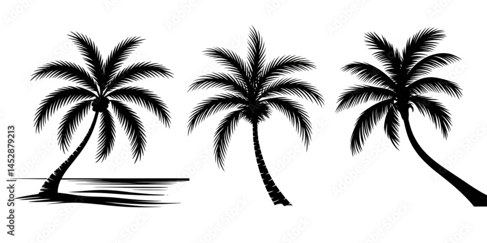 Poster silhouette of three palm trees with different trunk shapes on white