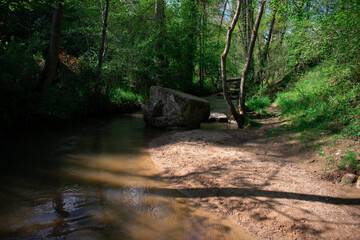 A serene mountain river flows through a dense forest, characterized by lush greenery and tall...