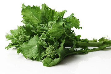 Rapini, Broccoli , Broccoli Rabe on white background