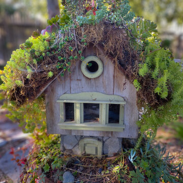 Forgotten Birdhouse: Nature&rsquo;s New Tenant at Cambria Pines
