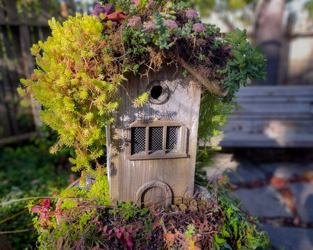 Tudor-Style Birdhouse Reclaimed by Succulent Garden