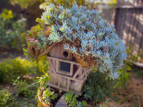The Last Barn: Crumbling Birdhouse in Cambria Pines