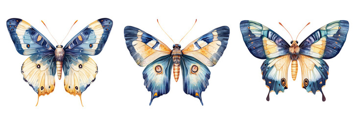 Set of Majestic monarch butterfly flying over a tranquil river at sunset, vibrant colors on transparent png background. Ai generated