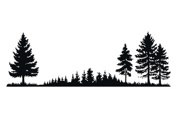 Fototapeta premium Pine trees silhouettes. Evergreen coniferous forest silhouette, nature spruce tree park view vector illustration. Coniferous woods silhouette