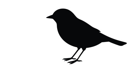Simple Bird Silhouette Illustration
