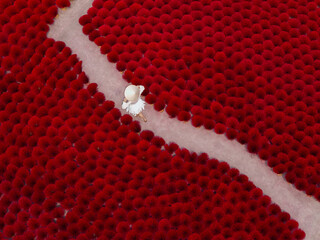 Aerial view of incense stick production in Vietnam with female tourist among red bundles