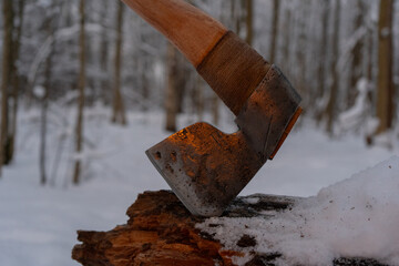 axe stuck into a stump in the winter forest