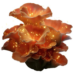 Glowing Oyster Mushrooms A Magical Forest Scene