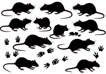 Black rat silhouette vector illustration rodent pest control design rats and paw prints animal tracks art
