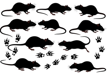 Black rat silhouette vector art with paw prints and bait for pest control and animal illustration design
