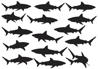 Fototapeta premium Shark silhouette pattern seamless vector background ocean predator animal marine life danger sea wildlife 