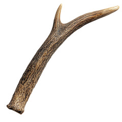 Pet Safe Antler Chew Toy Natural Browns and Durable Isolated on Transparent Background