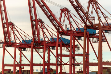 Cranes in port