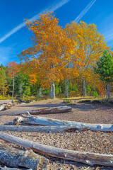 Changing Colors on a Remote Great Lakes Shore