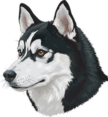 Realistic  Husky Art  Vector 