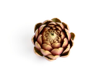 Isolated artichoke flower bud. Edible fresh healthy. Close-up, vibrant green delicious and natural food.