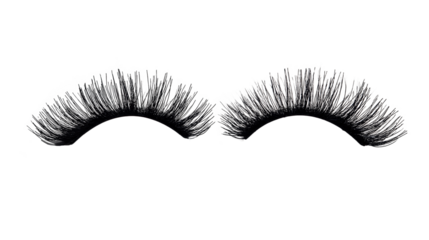 False Eyelashes Mockup. Isolated on Transparent Background