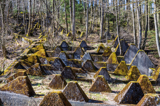 H&ouml;ckerlinie aus Beton als Panzersperre in einem Waldst&uuml;ck in der Nordeifel