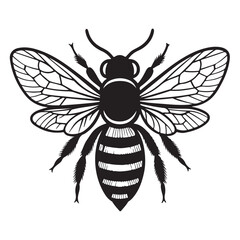 Graphic image of a bee silhouette isolated on a white backdrop