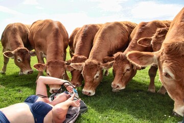 Jeune femme qui photographie des vaches qui l’entoure 