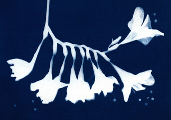 Plant silhouette. Floral illustration in minimalist style. Sun ptint. Monotype technic. Flowers art. Botanical pattern.
