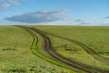 Landscape with a hill covered with green grass and a dirt road to the horizon.