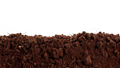 Humus, soil, bottom, border, pile, separated, isolated on a white transparent background. The image portrays a natural composition with earthy tones and distinct boundaries, emphasizing the texture an