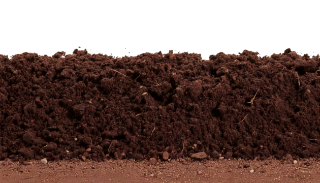 Humus, soil, bottom, border, pile, separated, isolated on a white transparent background. The image portrays a natural composition with earthy tones and distinct boundaries, emphasizing the texture an