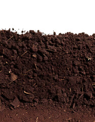 Humus, soil, bottom, border, pile, separated, isolated on a white transparent background. The image portrays a natural composition with earthy tones and distinct boundaries, emphasizing the texture an